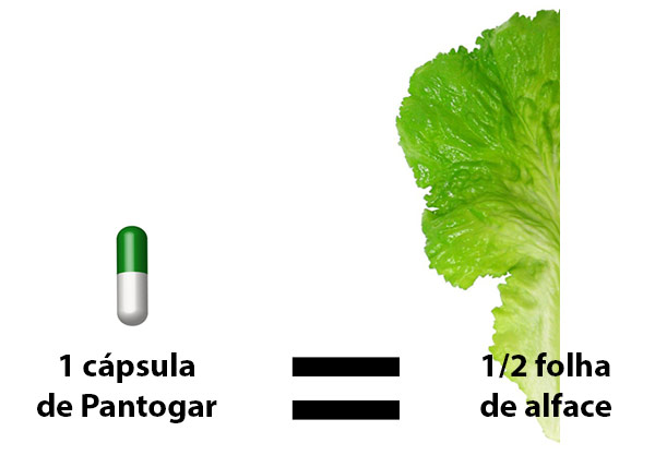 Comparativo calorias cápsula pantogar folha alface
