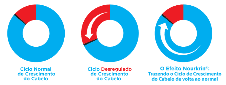 Gráfico - Como o Nourkrin funciona