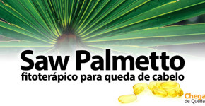 Saw Palmetto: fitoterápico para queda de cabelo