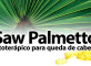 Saw Palmetto: fitoterápico para queda de cabelo