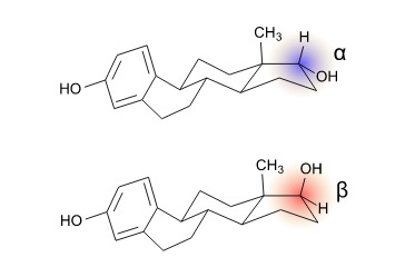 Isômeros 17 alfa estradiol e 17 beta estradiol